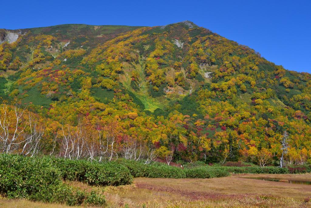 Hakuba Mominoki Hotel Luaran gambar